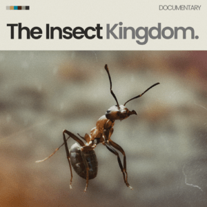 Promo image for The Insect Kingdom, the next Cue Tube re-score challenge